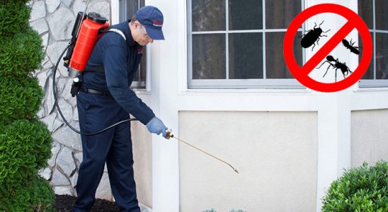 Ulubey Tahtakurusu İlaçlama böcek ilaçlama ve haşere kontrolü — ilaclama-tr.com
